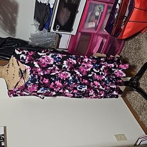 2x NWT pink, black, and blue floral dress.